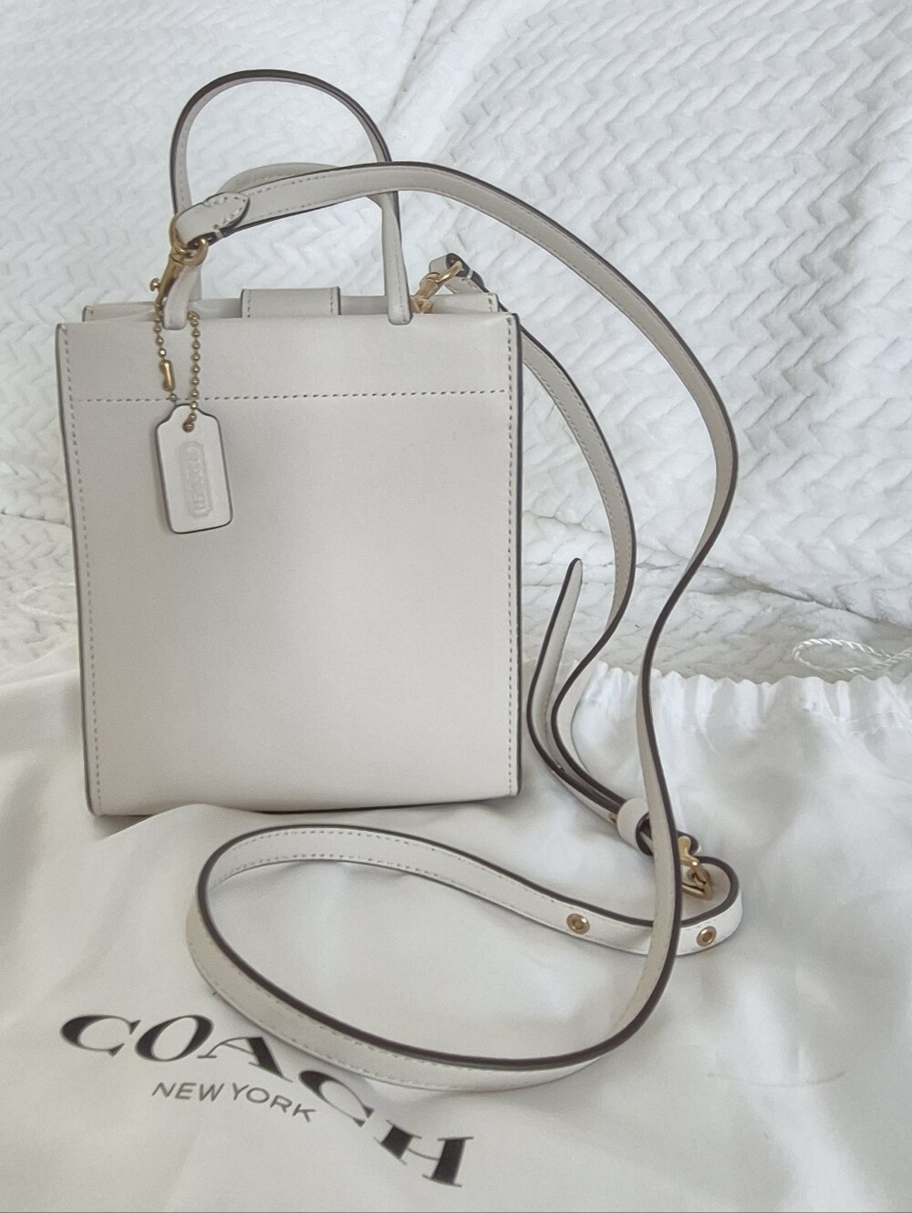 Coach Mini Cashin Chalk Glovetanned Leather Tote Bag